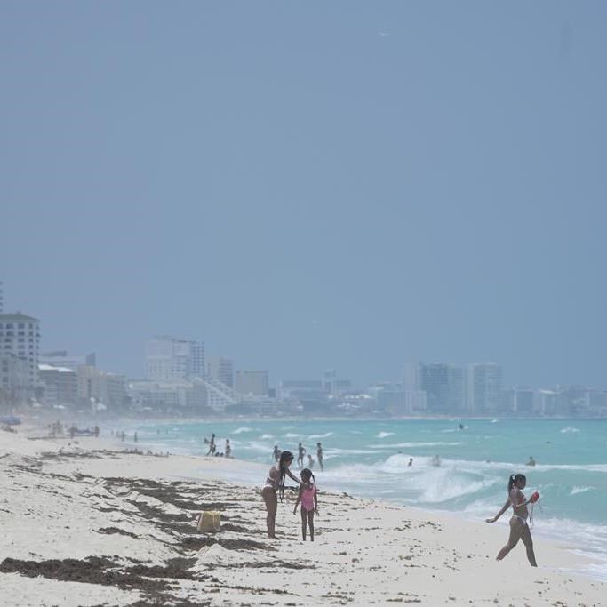 Mexico evacuates even sea turtle eggs from beaches as Hurricane Beryl approaches